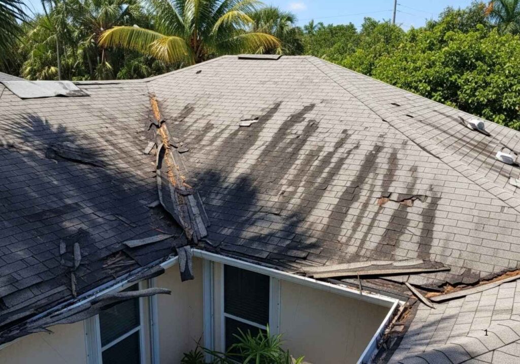 Florida homeowner inspecting a damaged, aging roof with visible wear and water stains.