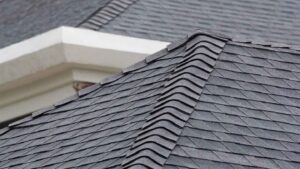 shingle roof lifespan in Florida