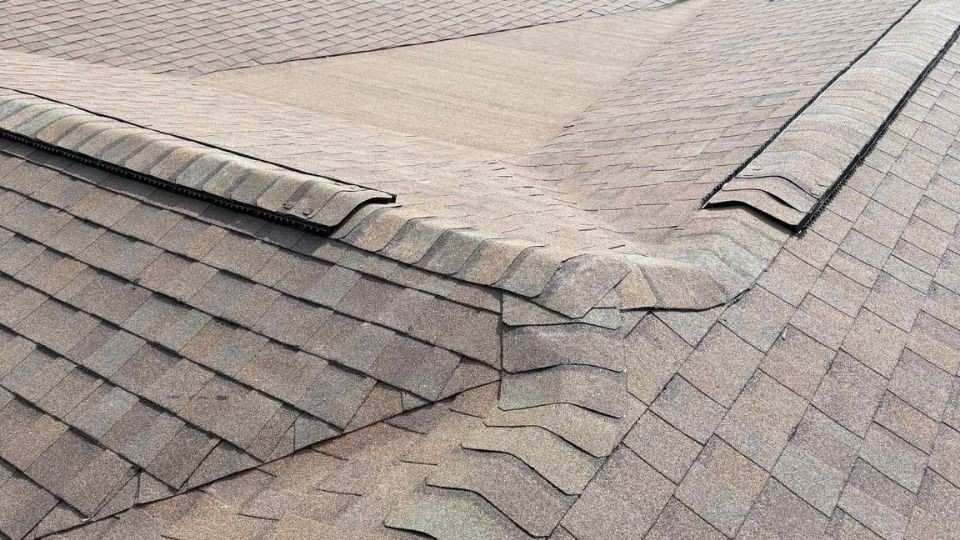 shingle roofs florida